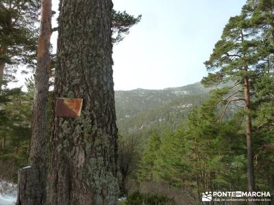 Decimo aniversario - Sierra Guadarrama; mejores rutas senderismo madrid; ropa tecnica de montaña